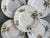 English Early 20th Century Minton Porcelain Small Bread Plates in a Flower Sprig Pattern - Set of 5 For Sale - Image 3 of 13