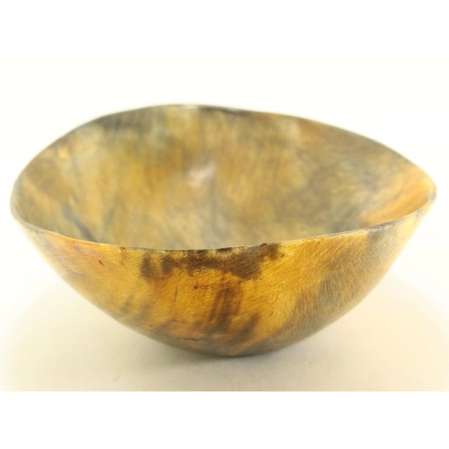 Farmhouse 19th Century Large Oval Cattle Horn Bowl For Sale - Image 3 of 12