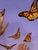 Textile Butterflies and Me by Kathleen Varadi, 2016 Oil on Canvas For Sale - Image 7 of 12