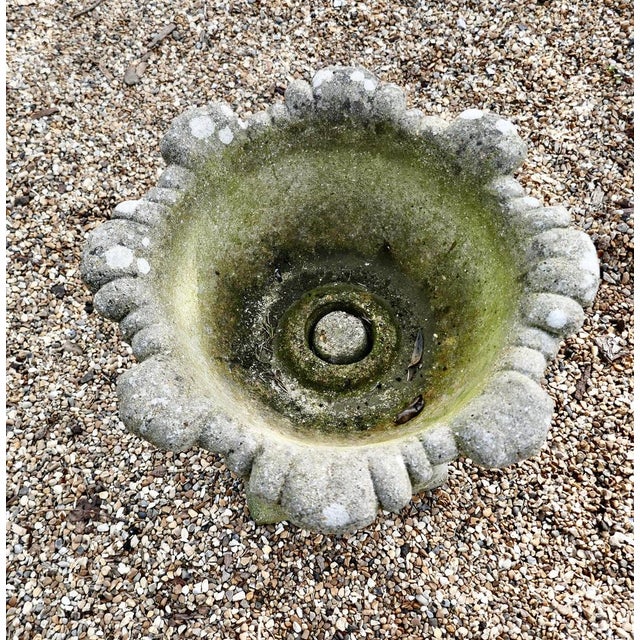 1950s Acanthus Leaf Weathered Garden Planter, 1950s For Sale - Image 5 of 7