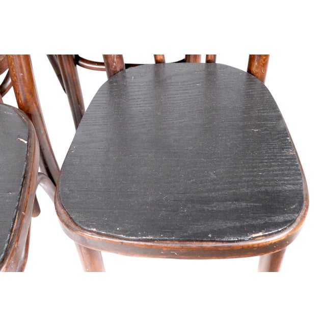 Set of 8 Vienna Secessionist Café Bistro Dining Chairs Made in Poland Attributed To Thonet C 1900/20’s For Sale - Image 10 of 12
