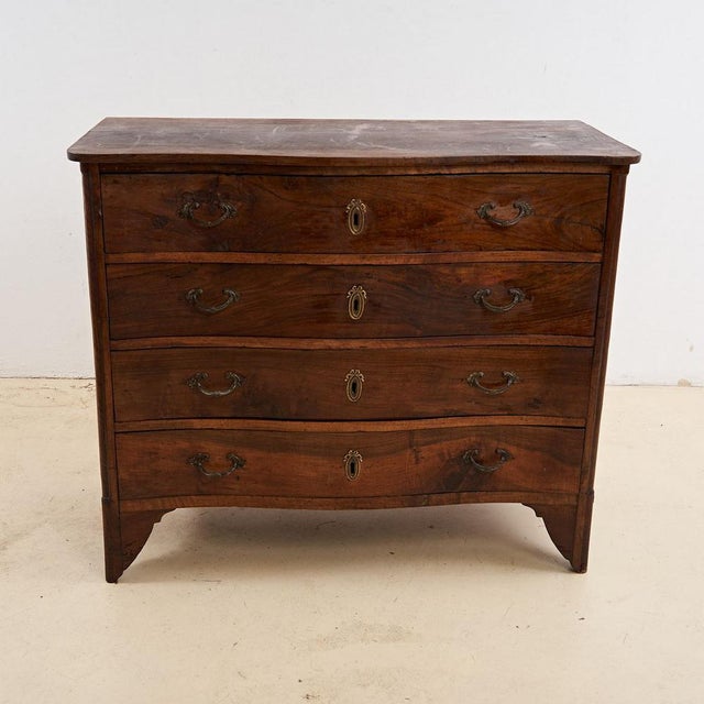 Chest of Drawers with Four Drawers For Sale - Image 14 of 14