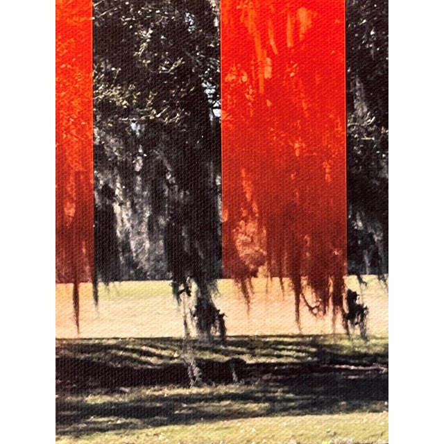 Contemporary Fat Tuesday - 2 by Dan Kaufman | Archival Photo Print on Canvas of a tree by a lake with orange stripes For Sale - Image 3 of 5
