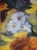 Pair of Oil on Canvas of Still Life Sunflowers - Signed For Sale - Image 4 of 17