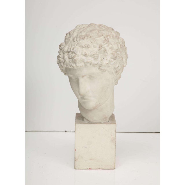 Classical-style plaster bust inspired by David, featuring detailed curls and an off-white finish with light age-related...