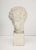 Classical-style plaster bust inspired by David, featuring detailed curls and an off-white finish with light age-related...