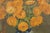 Jos Pas, Still Life with Flowers and Grapes in a Vase, 1944, Oil on Canvas For Sale - Image 7 of 11