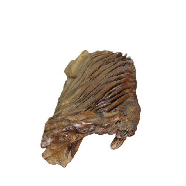 2010s Natural Wood Table Top Sculpture or Wall Art For Sale - Image 5 of 10