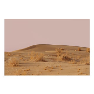 Ugne Pouwell, Desert Pink, 2016, Photography For Sale