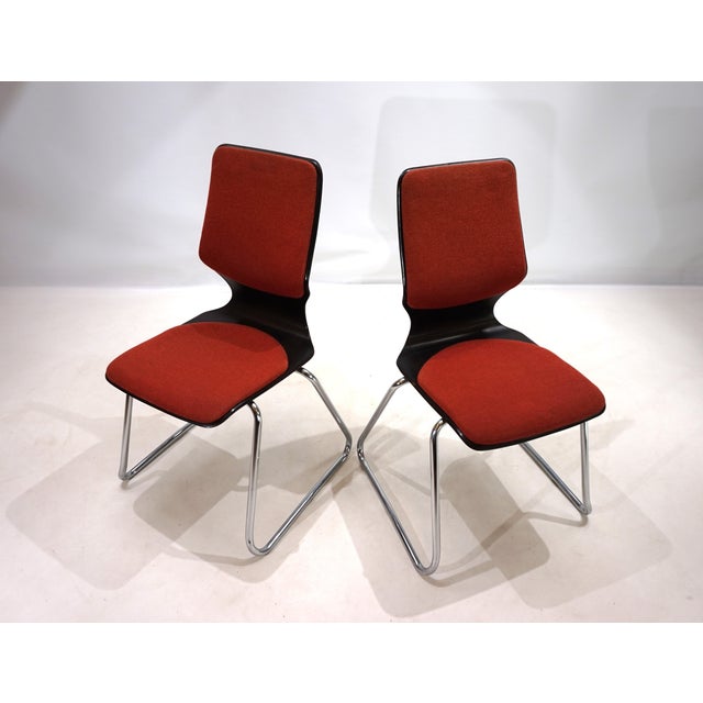 Pagwood Chairs by Elmar Flötotto, 1970s, Set of 2 For Sale - Image 4 of 15