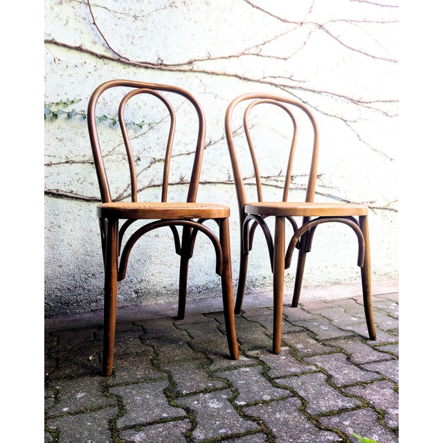 Bistro chairs in bent beechwood, 1960s