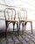 Bistro chairs in bent beechwood, 1960s