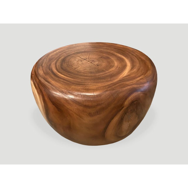 Contemporary Andrianna Shamaris Drum Shape Suar Wood Coffee Table For Sale - Image 3 of 18