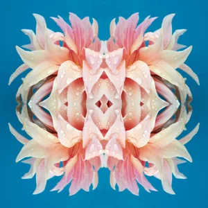 "No. 244" Contemporary Original Op Art Botanical Limited Edition Photograph Print by Erin Derby