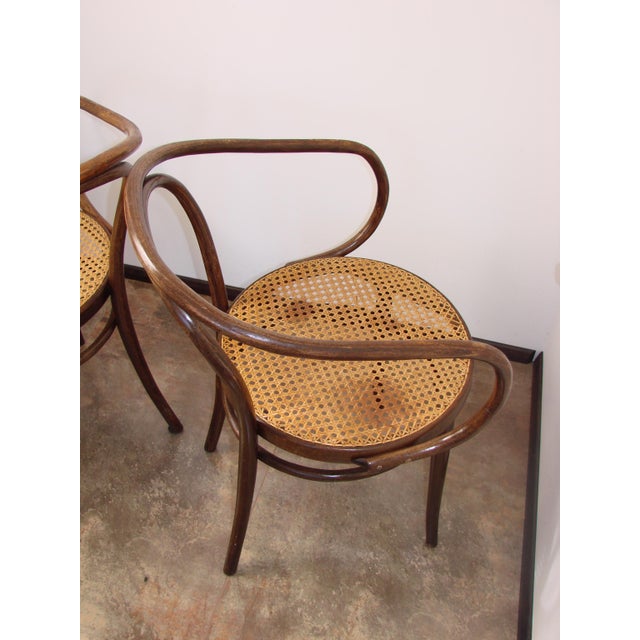 B9/209 Armchairs No. 209 by Radomsko for Thonet, 1960s, Set of 2 For Sale - Image 9 of 10