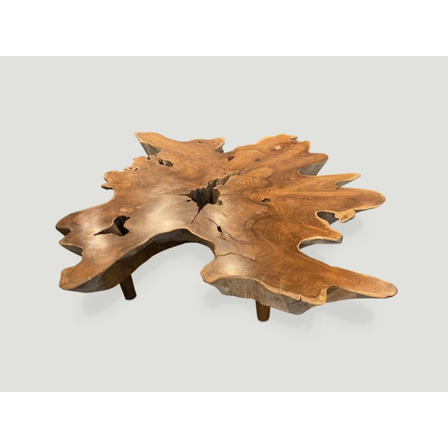 Contemporary Andrianna Shamaris Teak Wood Organic Root Coffee Table For Sale - Image 3 of 6