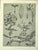 RARE! This is a set of 3 original 1902 antique botanicals of French drawings. They came from a French portfolio of 4...