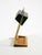 Large Table Lamp with Brass Frame, Teak Base, and Green Lampshade from Temde, 1960s For Sale - Image 11 of 18