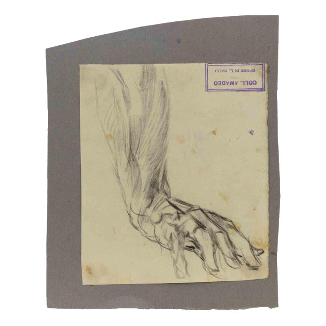 Luigi Galli, Anatomical Studies, 19th Century, Pencil on Paper For Sale
