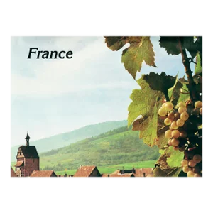 1980's French Wine Poster - France, Vignobles en Alsace (The Vineyards of Alsace)