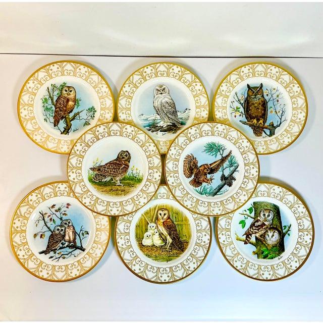 This is a magnificent collection of 8 English Bone China dinner plates with the Owls of North American. The images are...