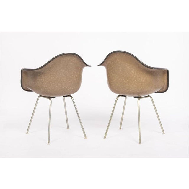 Mid Century Purple Dax Lounge Chairs by Eames for Herman Miller, 1960s For Sale - Image 14 of 14