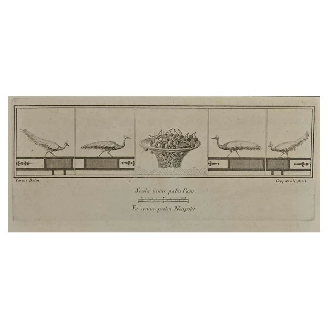 Francesco Cepparoli, Cornucopia of Cherries from Antiquities of Herculaneum, 1700s, Etching For Sale
