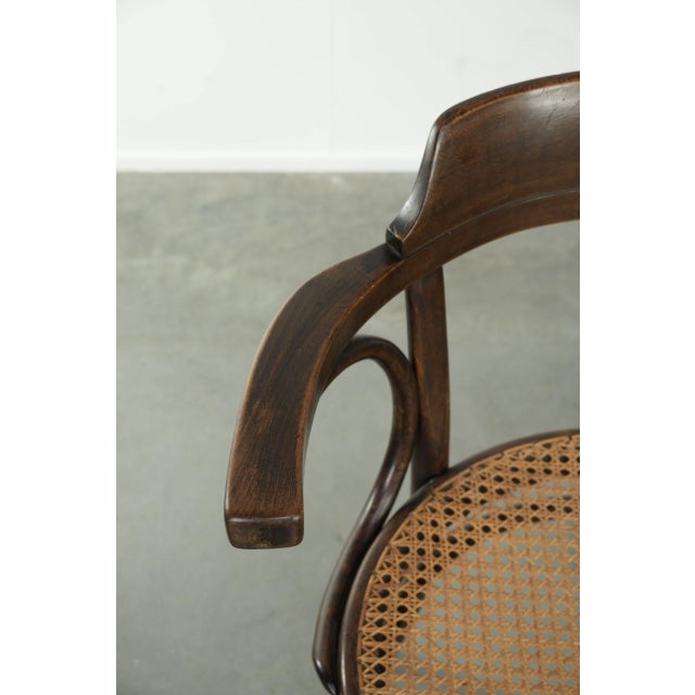 Wood Vintage Webbing Armchair in Curved Wood For Sale - Image 7 of 13