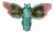C.1900 Majolica Dragonfly Wall Pocket Desvres For Sale