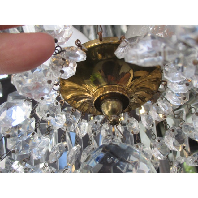 Louis XVI Crystal Basket Flush Mount For Sale - Image 15 of 15
