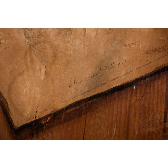 Pair of French Worn Pine Decoupage & Trompe l'Oeil Doors For Sale - Image 18 of 18