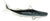 Decorative Glass Wildlife Blue Shark Figurine, Small For Sale