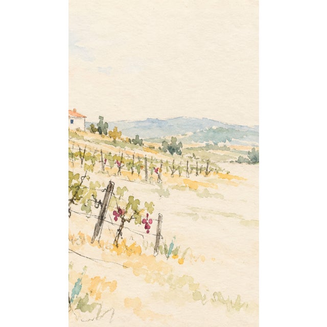 Not Yet Made - Made To Order Vineyard Landscape Art Print – Grapevines and Countryside Farmhouse, 12" X 8" For Sale - Image 5 of 7