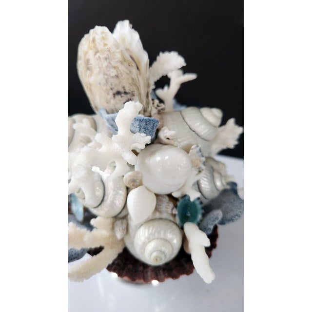 Handmade Coastal Seashell Sculpture – Seashell & Blue Ridge Coral Arrangement For Sale In New York - Image 6 of 15