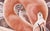 2000s "Flamingo" Large Gallery Wrapped Oil Painting by Judith Moore For Sale - Image 4 of 9