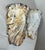 Pair Large Antique Industrial Cast Iron Architectural Salvage Wall Corbels White For Sale - Image 4 of 12