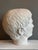 Young and Older Julius Caesar Plaster Heads, Set of 2 For Sale - Image 14 of 15