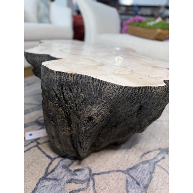 Fossilized Coffee Table For Sale - Image 4 of 6