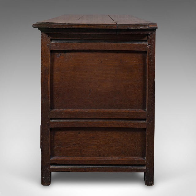 1700's Large Antique Mule Chest For Sale - Image 6 of 12