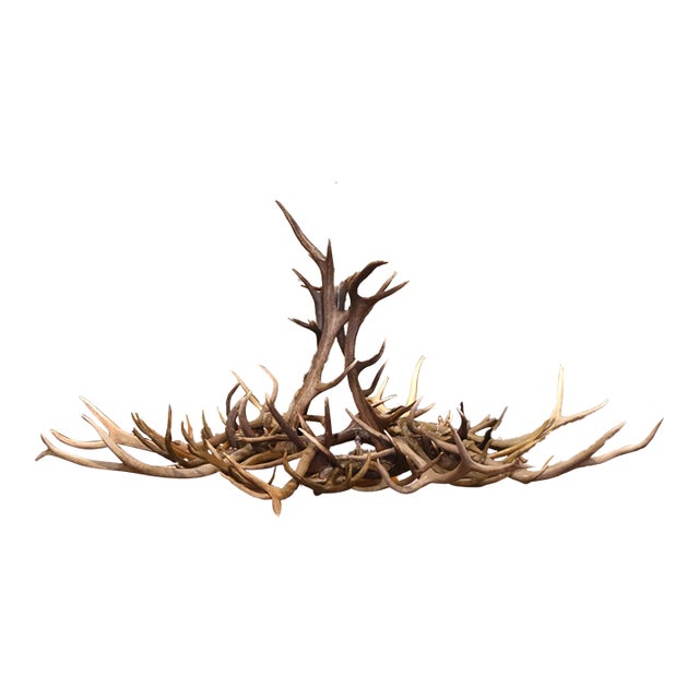 Vintage American Black Forest Style Elk and Deer Antler Ten-Light Chandelier For Sale
