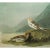 John James Audubon 1966 Vintage Cottage Print "Snow Bunting" After John James Audubon For Sale - Image 4 of 7