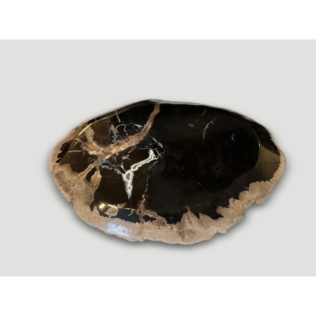 Andrianna Shamaris Petrified Wood Shallow Dish For Sale - Image 4 of 5