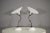Wall Lamps from Aldo Bernardi, 1970s, Set of 2 For Sale - Image 9 of 9