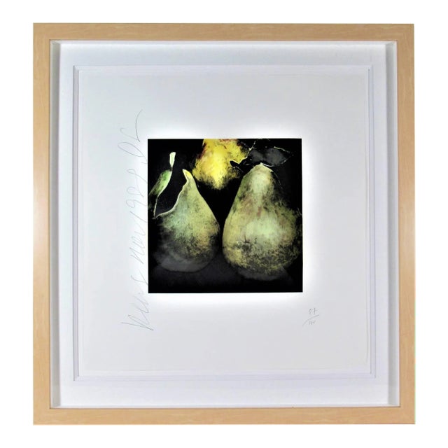 Donald Sultan, Pears, 1989 For Sale