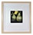 Donald Sultan, Pears, 1989 For Sale
