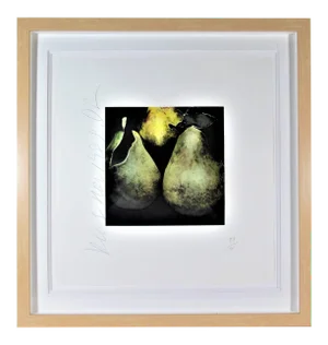 Donald Sultan, Pears, 1989