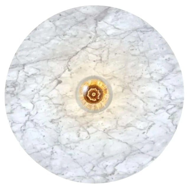 Venus Wall Light by Radar For Sale - Image 6 of 6