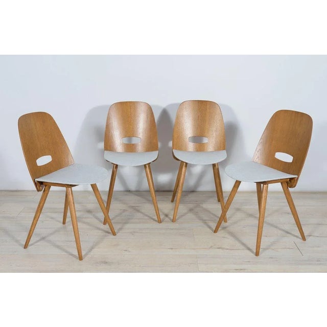 This set of four ’Lollipop’ dining chairs was produced by Tatra in former Czechoslovakia circa 1960 and designed by...
