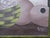 1980s Signed Nini Haitian Style Original Oil Painting, Professionally Framed For Sale - Image 9 of 10