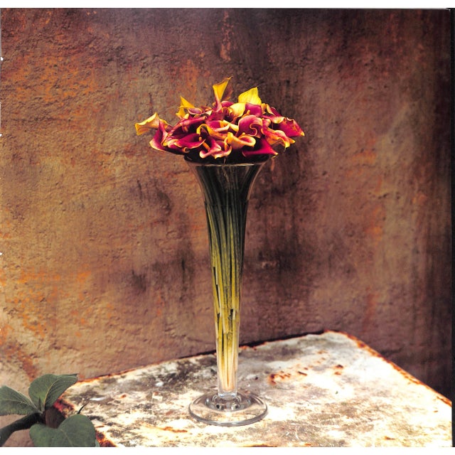 "Wolterinck" 1997 Roelofs, Cees [Photography] For Sale - Image 9 of 12